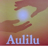Aulilu personal training for every ability