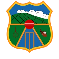Pukekohe Metro Cricket Club