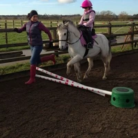 Hobby Horse Equestrian