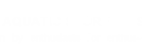 The Aquatic Store