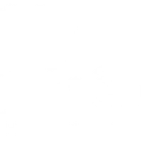 Métod Lyon 8