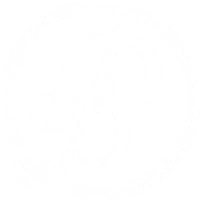 DD Coaches