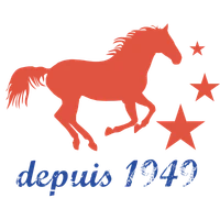 Cercle Hippique Du Bois De Vincennes - School Riding / Pas De Balade