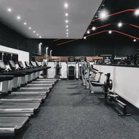 Modified Fitness