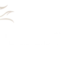 Billebaut Nicolas