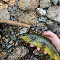 Evasion fly fishing
