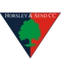 Horsley & Send Cricket Club