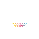 Surf School - Coco Surf