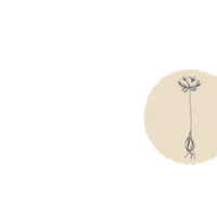 Vichara Yoga Shala