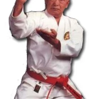 Shorin-Ryu Shorinkan Karate Clifton