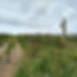 Kernow Klimber