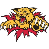 Charlottetown Islanders Hockey Club