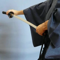 Bias Aikido And Iaido Ryu