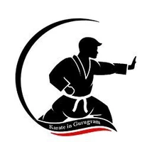 Karate and Kickboxing Class