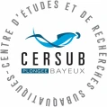 Cersub
