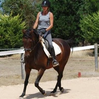 I love horses