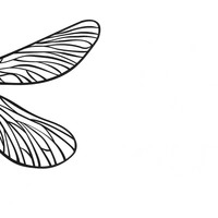 AKTBA