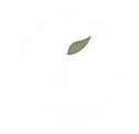 Seed and Blossoms Wellness