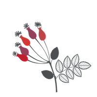 Rosehip Barn