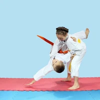 Ecseed Taekwondo