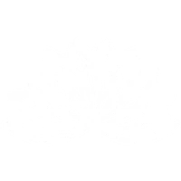 The Wise Lotus Centre