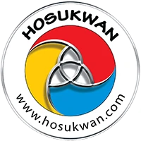Qi Gong - Taijiquan - Self-Défense - Sabre Laser - "Hosukwan"