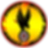 Fawley Falcons