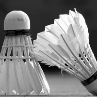 Covered Tennis Badminton Mériadeck