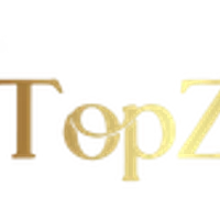Topzpin