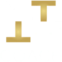MT Coach