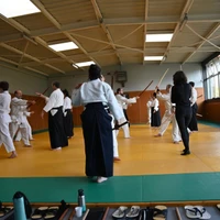 Aikido Traditionnel Ecole Europeenne