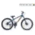 Popular Cycles