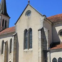 Capuchins' Swimming Pool