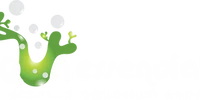 Aqua Essentials