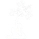 Yoga Gym