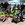 HOCKEY CLUB DE SAMOENS LES LYNX