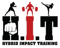 Hybrid Impact Training
