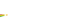 Ale Lima - Personal Coach