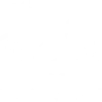 Jackie Palmer Stage School