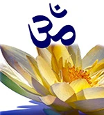 Satya Granet School Yoga Mandala ॐ Yoga