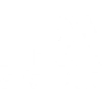 Z GRVTY Martial Arts and Fitness