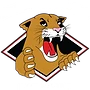 Kelso Rugby Football Club