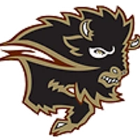 BISONSWIMMING