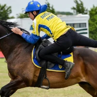 Centre Equestre des Oliviers