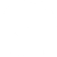 Les Dauphins Du Centre Brie