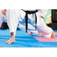Alton Taekwon-Do