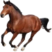 Les Ecuries D'indiana