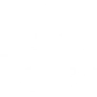 The Speed Project