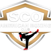 Sco American Boxing Club Salle St Vincent Paul Angers