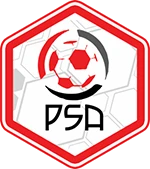 Pro Sports Academy